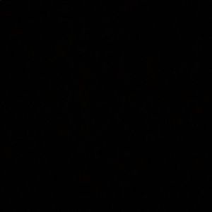 Meet your Posher, Ella